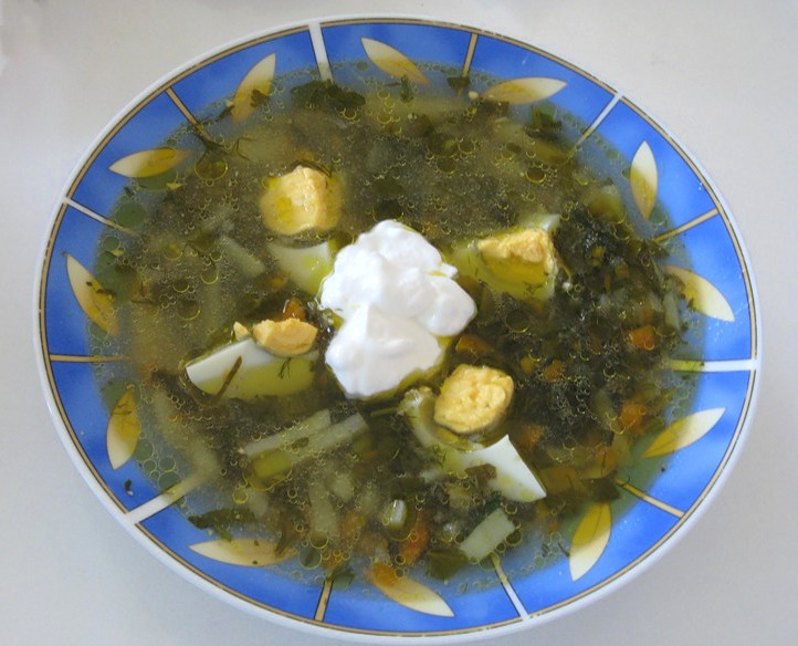 Schav, Sorrel soup with eggs and sour cream
