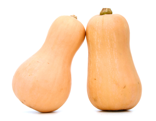 2 butternut squash isolated white background